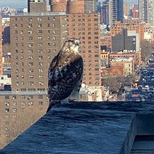 Meet your Posher, Karan